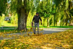 Cedrus BL210-P Dmuchawa akumulatorowa Cedrus 60V BL210-P, bez aku i ładowarki CEDBL210-P