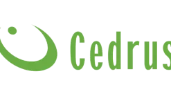 CEDRUS BT160 160 L. BETONIARKA BUDOWLANA BETONIARKI MIESZALNIK MIESZARKA - EWIMAX - OFICJALNY DYSTRYBUTOR - AUTORYZOWANY DEALER CEDRUS