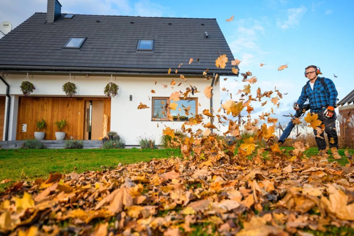 CEDRUS DM05 ODKURZACZ DMUCHAWA SPALINOWA OGRODOWA DO LIŚCI DM05PRO PROFESJONALNY - OFICJALNY DYSTRYBUTOR - AUTORYZOWANY DEALER CEDRUS