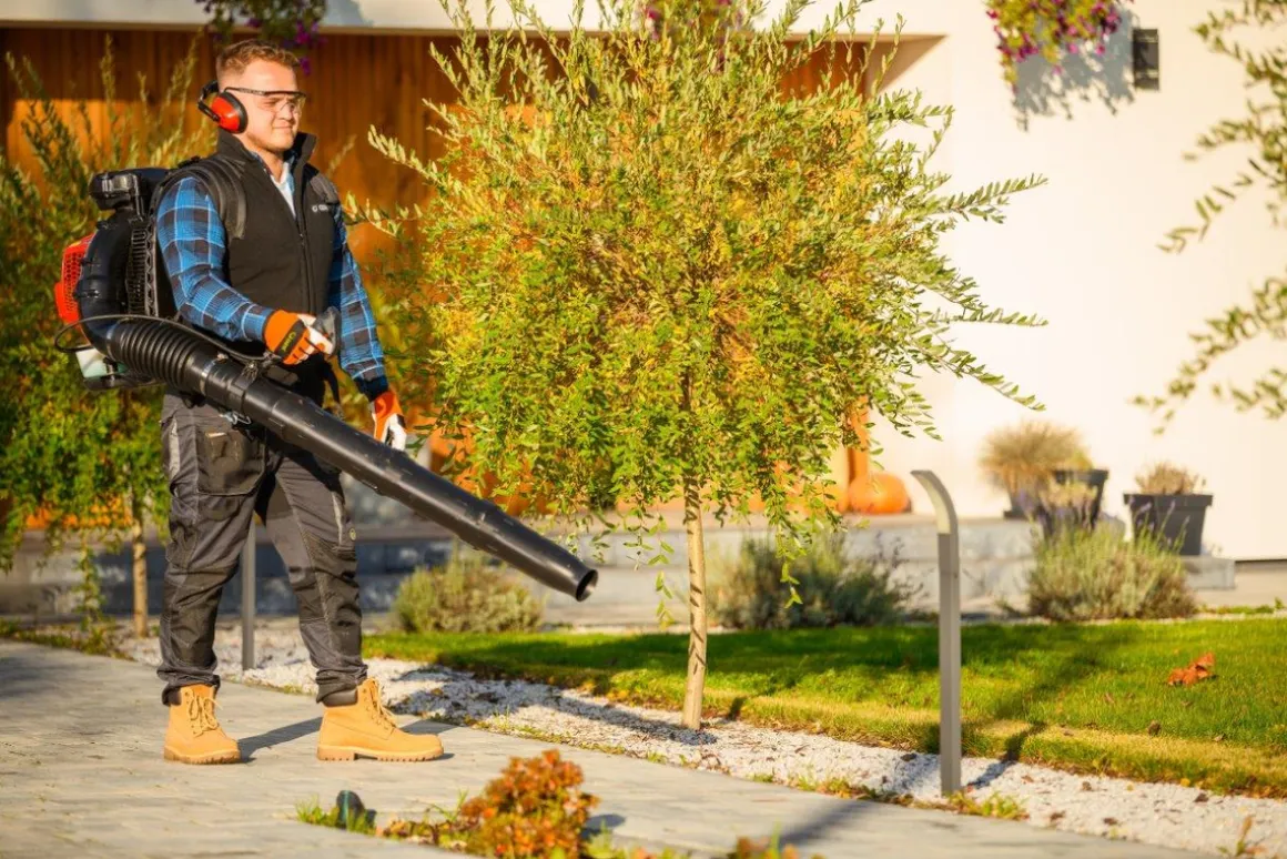 CEDRUS DM05 ODKURZACZ DMUCHAWA SPALINOWA OGRODOWA DO LIŚCI DM05PRO PROFESJONALNY - OFICJALNY DYSTRYBUTOR - AUTORYZOWANY DEALER CEDRUS