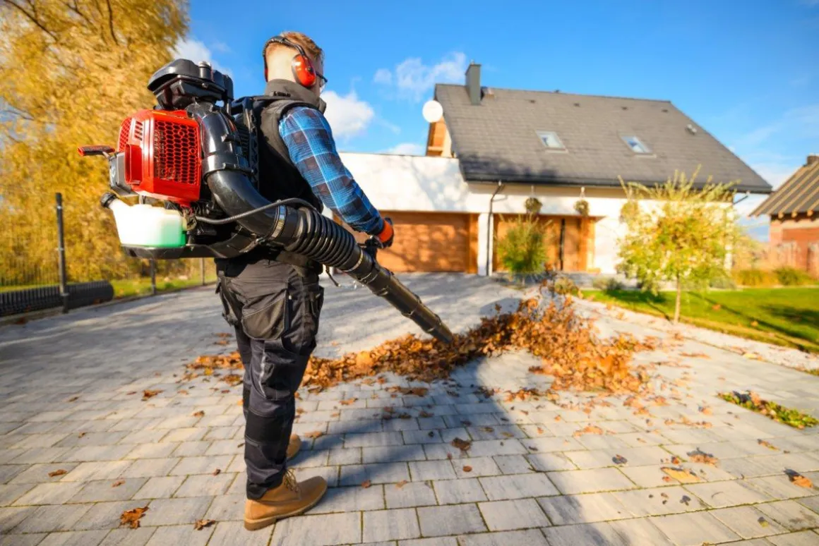 CEDRUS DM05 ODKURZACZ DMUCHAWA SPALINOWA OGRODOWA DO LIŚCI DM05PRO PROFESJONALNY - OFICJALNY DYSTRYBUTOR - AUTORYZOWANY DEALER CEDRUS