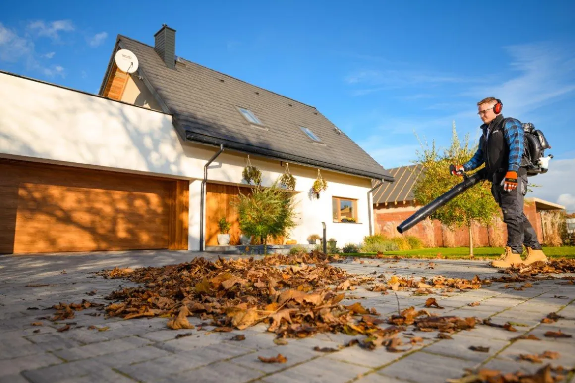 CEDRUS DM05 ODKURZACZ DMUCHAWA SPALINOWA OGRODOWA DO LIŚCI DM05PRO PROFESJONALNY - OFICJALNY DYSTRYBUTOR - AUTORYZOWANY DEALER CEDRUS