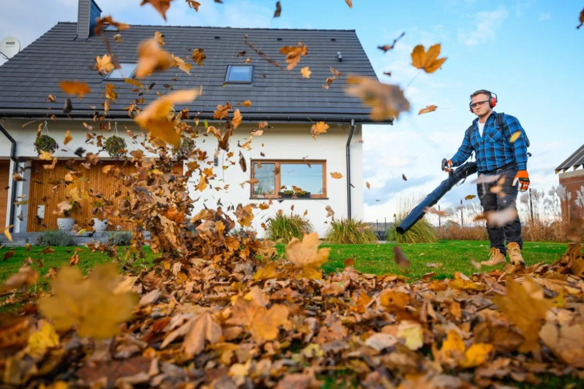 CEDRUS DM05 ODKURZACZ DMUCHAWA SPALINOWA OGRODOWA DO LIŚCI DM05PRO PROFESJONALNY - OFICJALNY DYSTRYBUTOR - AUTORYZOWANY DEALER CEDRUS