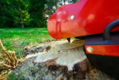 CEDRUS FR01 FREZ FREZARKA DO USUWANIA PNI KORZENI KARCZOWNIK DRZEW 15 KM - EWIMAX - OFICJALNY DYSTRYBUTOR - AUTORYZOWANY DEALER CEDRUS