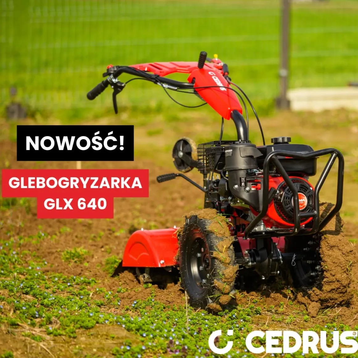 CEDRUS GLX640 GLEBOGRYZARKA SPALINOWA OGRODOWA PRZECIWBIEŻNA KULTYWATOR 5.5KM / 62cm Weima 170F/P GLX 640 - EWIMAX - OFICJALNY DYSTRYBUTOR - AUTORYZOWANY DEALER CEDRUS