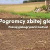 CEDRUS GLX480 ZESTAW DO ORKI ORANIA DO GLEBOGRYZARKI CEDRUS GLX480 - CEDRGL54  - EWIMAX - OFICJALNY DYSTRYBUTOR - AUTORYZOWANY DEALER CEDRUS