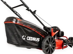 CEDRUS KS56S-H HONDA KOSIARKA SPALINOWA DO TRAWY CEDRUS KS56S-H Z NAPĘDEM 5w1 56cm / 5.6 KM HONDA GCV200 - EWIMAX - OFICJALNY DYSTRYBUTOR - AUTORYZOWANY DEALER CEDRUS