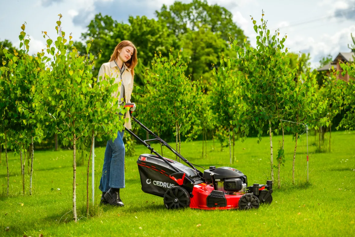 CEDRUS KS51S-H-ZT HONDA KOSIARKA SPALINOWA DO TRAWY Z NAPĘDEM 5w1 51cm / 4.6 KM HONDA GCV170 - EWIMAX - OFICJALNY DYSTRYBUTOR - AUTORYZOWANY DEALER CEDRUS
