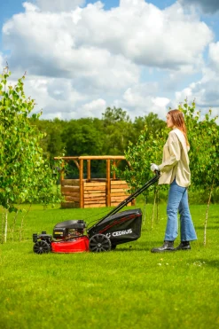 CEDRUS KS51S-H-ZT HONDA KOSIARKA SPALINOWA DO TRAWY Z NAPĘDEM 5w1 51cm / 4.6 KM HONDA GCV170 - EWIMAX - OFICJALNY DYSTRYBUTOR - AUTORYZOWANY DEALER CEDRUS