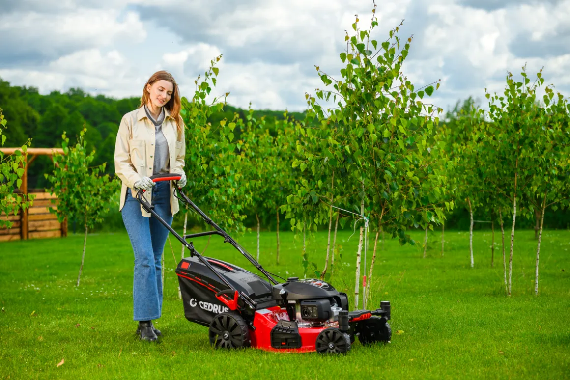 CEDRUS KS51S-H-ZT HONDA KOSIARKA SPALINOWA DO TRAWY Z NAPĘDEM 5w1 51cm / 4.6 KM HONDA GCV170 - EWIMAX - OFICJALNY DYSTRYBUTOR - AUTORYZOWANY DEALER CEDRUS