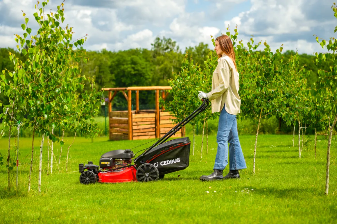 CEDRUS KS51S-H-ZT HONDA KOSIARKA SPALINOWA DO TRAWY Z NAPĘDEM 5w1 51cm / 4.6 KM HONDA GCV170 - EWIMAX - OFICJALNY DYSTRYBUTOR - AUTORYZOWANY DEALER CEDRUS