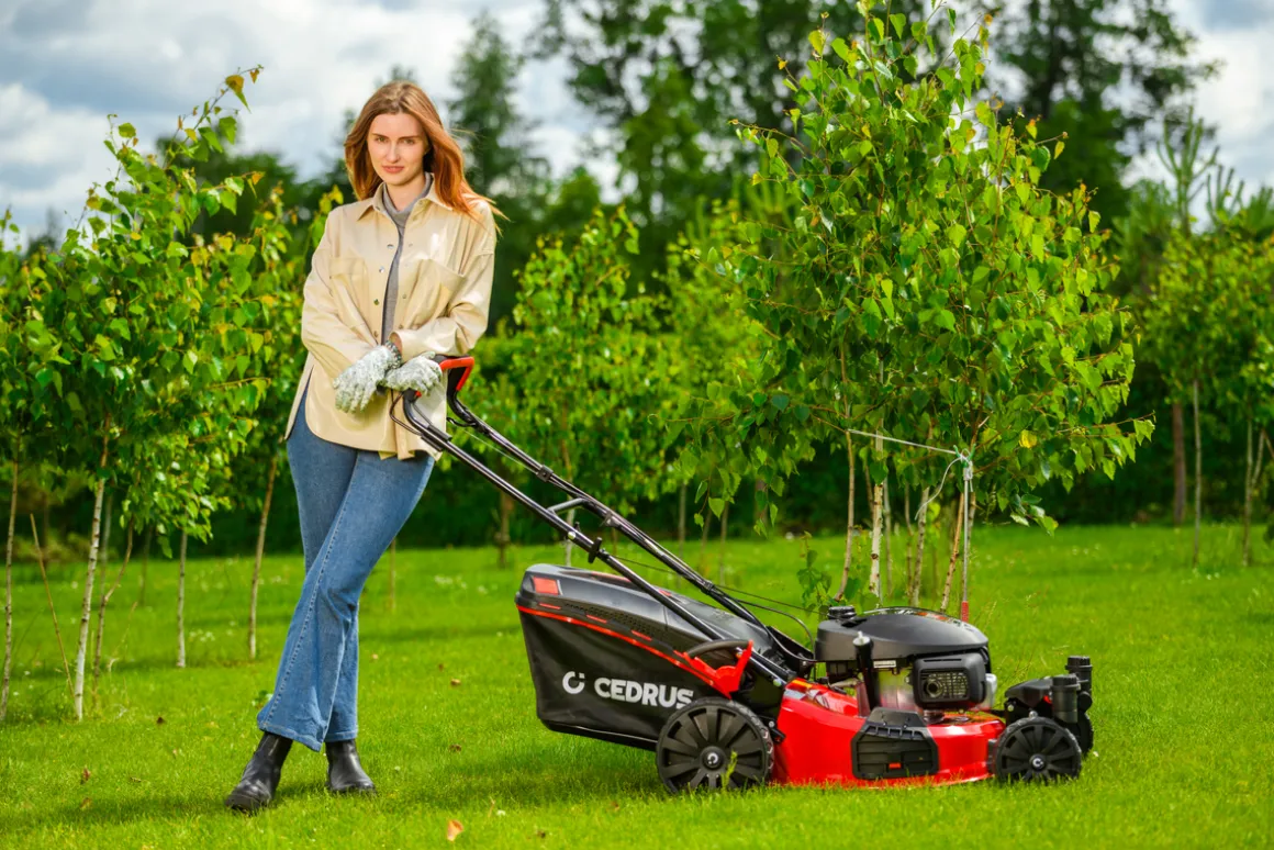 CEDRUS KS51S-H-ZT HONDA KOSIARKA SPALINOWA DO TRAWY Z NAPĘDEM 5w1 51cm / 4.6 KM HONDA GCV170 - EWIMAX - OFICJALNY DYSTRYBUTOR - AUTORYZOWANY DEALER CEDRUS