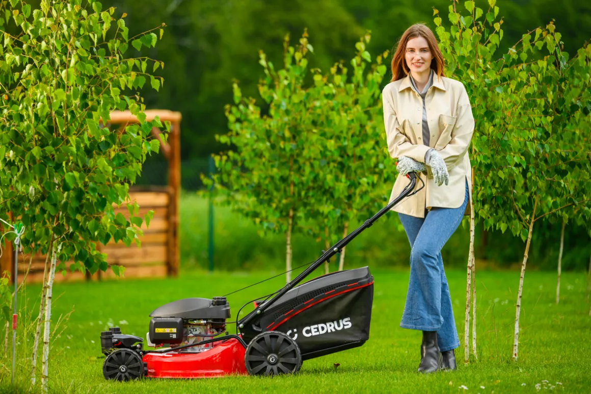 CEDRUS KS51S-H-ZT HONDA KOSIARKA SPALINOWA DO TRAWY Z NAPĘDEM 5w1 51cm / 4.6 KM HONDA GCV170 - EWIMAX - OFICJALNY DYSTRYBUTOR - AUTORYZOWANY DEALER CEDRUS