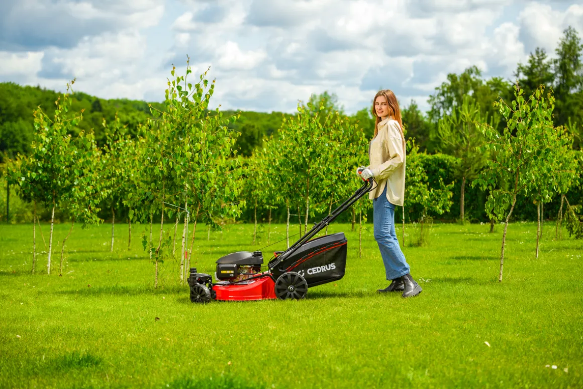 CEDRUS KS51S-H-ZT HONDA KOSIARKA SPALINOWA DO TRAWY Z NAPĘDEM 5w1 51cm / 4.6 KM HONDA GCV170 - EWIMAX - OFICJALNY DYSTRYBUTOR - AUTORYZOWANY DEALER CEDRUS