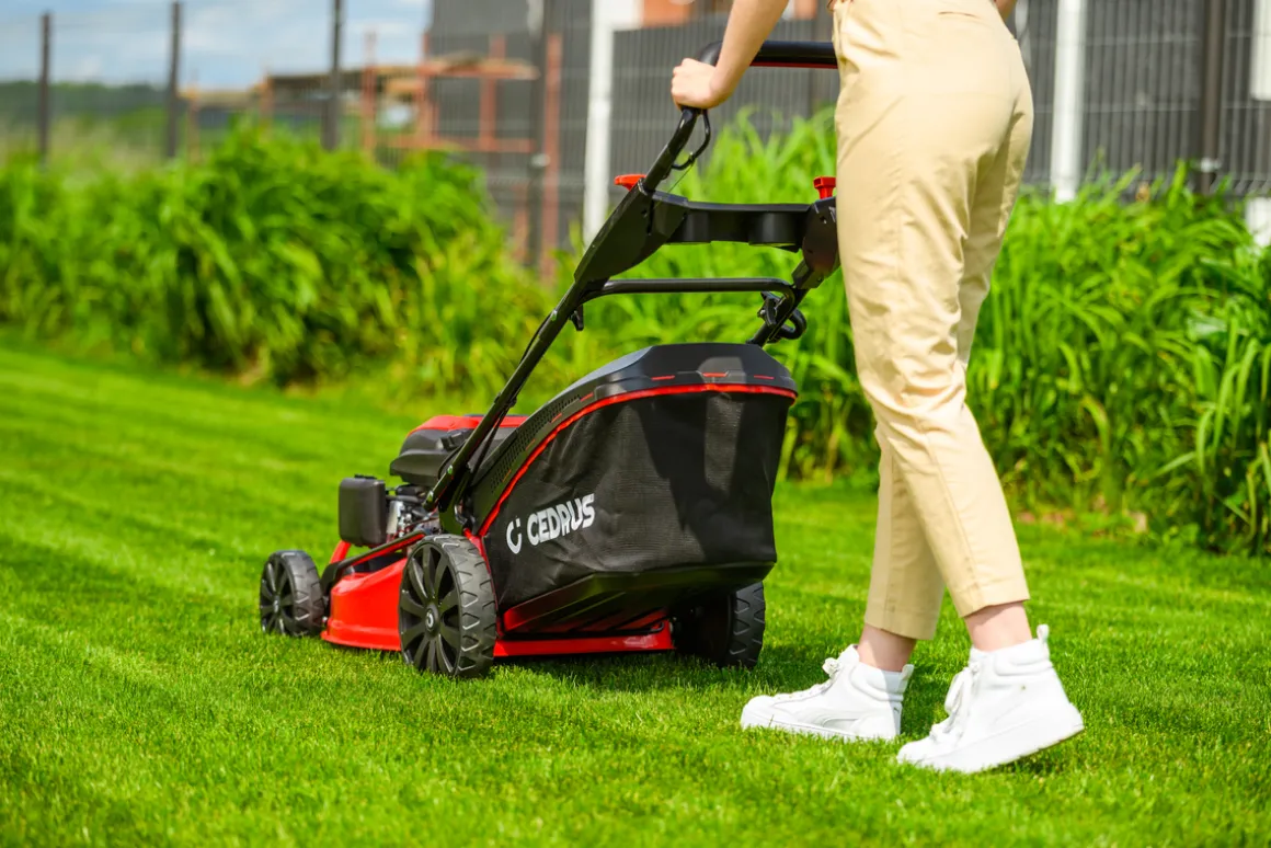 CEDRUS KS53S KOSIARKA SPALINOWA DO TRAWY Z NAPĘDEM 53cm / 5,7 KM - EWIMAX - OFICJALNY DYSTRYBUTOR - AUTORYZOWANY DEALER CEDRUS