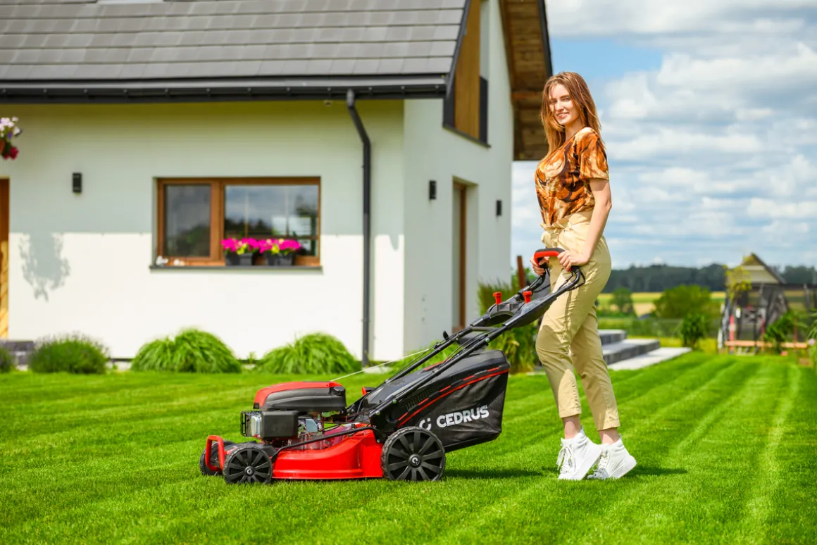CEDRUS KS53S KOSIARKA SPALINOWA DO TRAWY Z NAPĘDEM 53cm / 5,7 KM - EWIMAX - OFICJALNY DYSTRYBUTOR - AUTORYZOWANY DEALER CEDRUS
