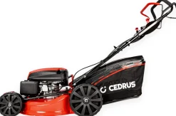 CEDRUS KS53S KOSIARKA SPALINOWA DO TRAWY Z NAPĘDEM 53cm / 5,7 KM - EWIMAX - OFICJALNY DYSTRYBUTOR - AUTORYZOWANY DEALER CEDRUS