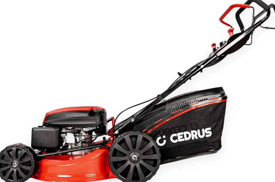 CEDRUS KS53S KOSIARKA SPALINOWA DO TRAWY Z NAPĘDEM 53cm / 5,7 KM - EWIMAX - OFICJALNY DYSTRYBUTOR - AUTORYZOWANY DEALER CEDRUS