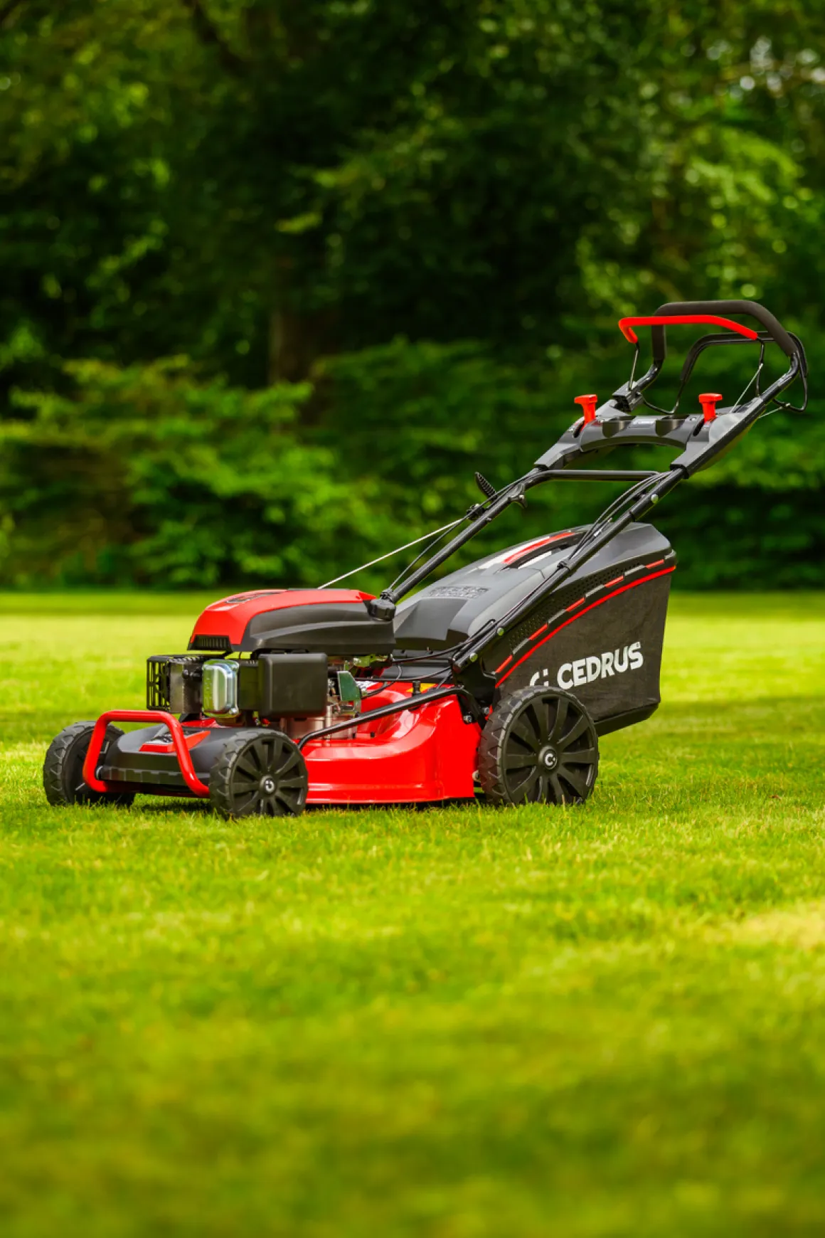 CEDRUS KS53S KOSIARKA SPALINOWA DO TRAWY Z NAPĘDEM 53cm / 5,7 KM - EWIMAX - OFICJALNY DYSTRYBUTOR - AUTORYZOWANY DEALER CEDRUS