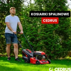 CEDRUS KS42S KOSIARKA SPALINOWA DO TRAWY Z NAPĘDEM CEDKS42S 42cm / 4,2KM - EWIMAX - OFICJALNY DYSTRYBUTOR - AUTORYZOWANY DEALER CEDRUS