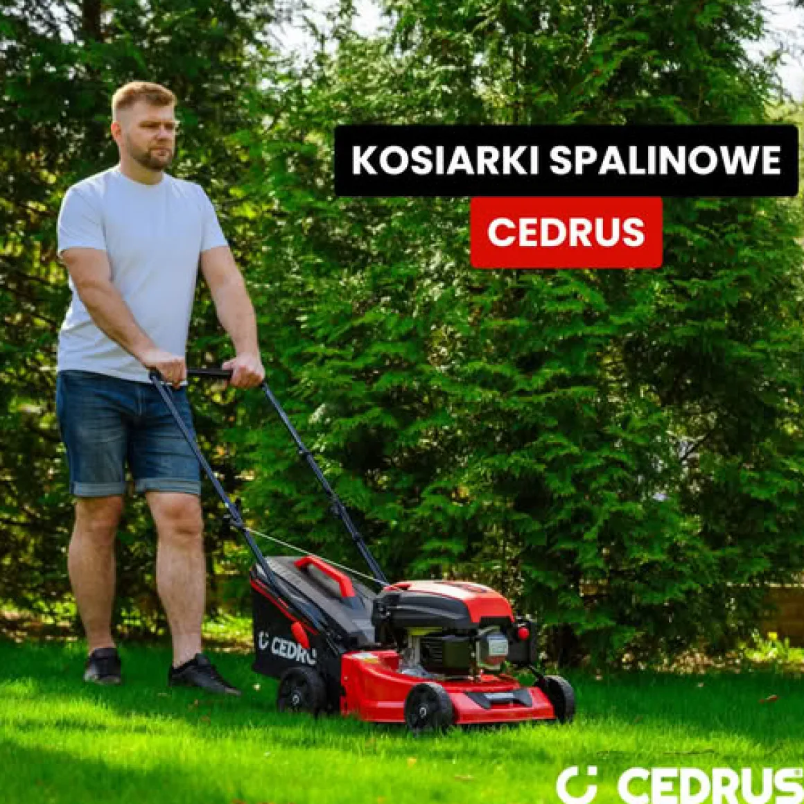 CEDRUS KS42S KOSIARKA SPALINOWA DO TRAWY Z NAPĘDEM CEDKS42S 42cm / 4,2KM - EWIMAX - OFICJALNY DYSTRYBUTOR - AUTORYZOWANY DEALER CEDRUS