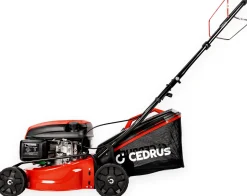 CEDRUS KS42S KOSIARKA SPALINOWA DO TRAWY Z NAPĘDEM CEDKS42S 42cm / 4,2KM - EWIMAX - OFICJALNY DYSTRYBUTOR - AUTORYZOWANY DEALER CEDRUS