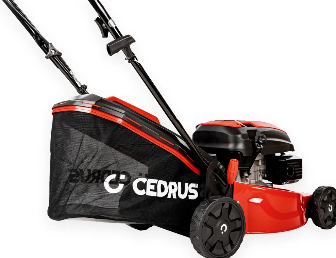 CEDRUS KS42S KOSIARKA SPALINOWA DO TRAWY Z NAPĘDEM CEDKS42S 42cm / 4,2KM - EWIMAX - OFICJALNY DYSTRYBUTOR - AUTORYZOWANY DEALER CEDRUS