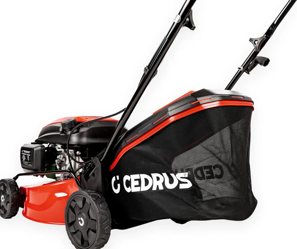 CEDRUS KS42S KOSIARKA SPALINOWA DO TRAWY Z NAPĘDEM CEDKS42S 42cm / 4,2KM - EWIMAX - OFICJALNY DYSTRYBUTOR - AUTORYZOWANY DEALER CEDRUS