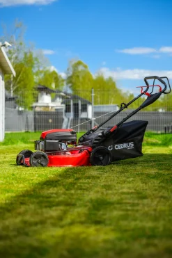 CEDRUS LP53S Premium KOSIARKA SPALINOWA DO TRAWY Z NAPĘDEM 53cm / 5,7 KM CEDLP53S - EWIMAX - OFICJALNY DYSTRYBUTOR - AUTORYZOWANY DEALER CEDRUS