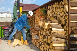 CEDRUS LS10 ŁUPARKA DO DREWNA HYDRAULICZNA ELEKTRYCZNA CEDRUS CEDLS10V PIONOWA RĘBAK NACISK 22 TONY - EWIMAX - OFICJALNY DYSTRYBUTOR - AUTORYZOWANY DEALER CEDRUS
