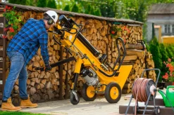 CEDRUS LS10 ŁUPARKA DO DREWNA HYDRAULICZNA ELEKTRYCZNA CEDRUS CEDLS10V PIONOWA RĘBAK NACISK 22 TONY - EWIMAX - OFICJALNY DYSTRYBUTOR - AUTORYZOWANY DEALER CEDRUS