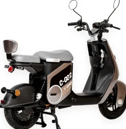 Cedrus Luyuan C-GO-2G-ZQQ2 skuter elektryczny e-skuter akumulatorowy szary