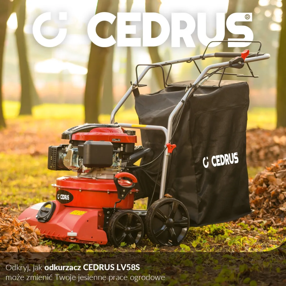 CEDRUS LV58 S PROFESJONALNY ODKURZACZ + WERTYKULATOR SPALINOWY DO LIŚCI 4w1 OGRODOWY DMUCHAWA NA KOŁACH JEZDNY Z NAPĘDEM 2w1 LV58S - OFICJALNY DYSTRYBUTOR - AUTORYZOWANY DEALER CEDRUS