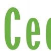 CEDRUS MIX 0.1L 100ML 2-SUW OLEJ SILNIKOWY DO BENZYNY MIESZANKI PALIWOWEJ 050013 do silników dwusuwowych  Kos Pilarek Dmuchaw Podkaszarek Nożyc Sekatorów Opryskiwaczy itp.do silników dwusuwowych