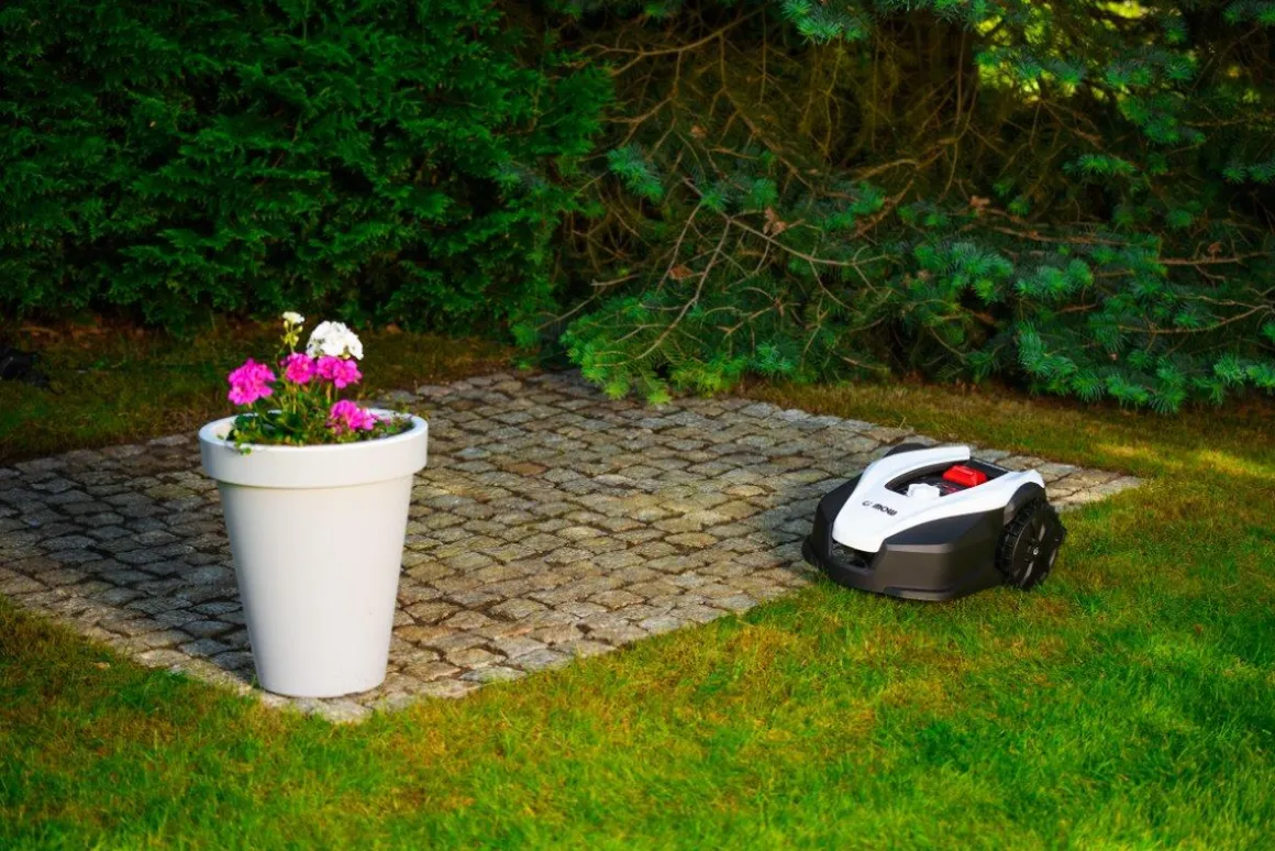 CEDRUS M12+ ROBOT KOSZĄCY KOSIARKA AUTOMATYCZNA DO TRAWY C-MOW 1200m2 - OFICJALNY DYSTRYBUTOR - AUTORYZOWANY DEALER CEDRUS