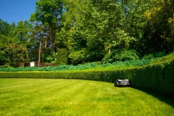 CEDRUS M12+ ROBOT KOSZĄCY KOSIARKA AUTOMATYCZNA DO TRAWY C-MOW 1200m2 - OFICJALNY DYSTRYBUTOR - AUTORYZOWANY DEALER CEDRUS
