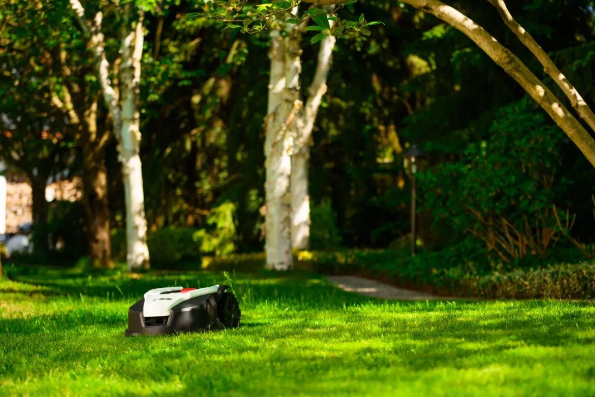 CEDRUS M5 ROBOT KOSZĄCY KOSIARKA AUTOMATYCZNA DO TRAWY C-MOW 500m2 - OFICJALNY DYSTRYBUTOR - AUTORYZOWANY DEALER CEDRUS
