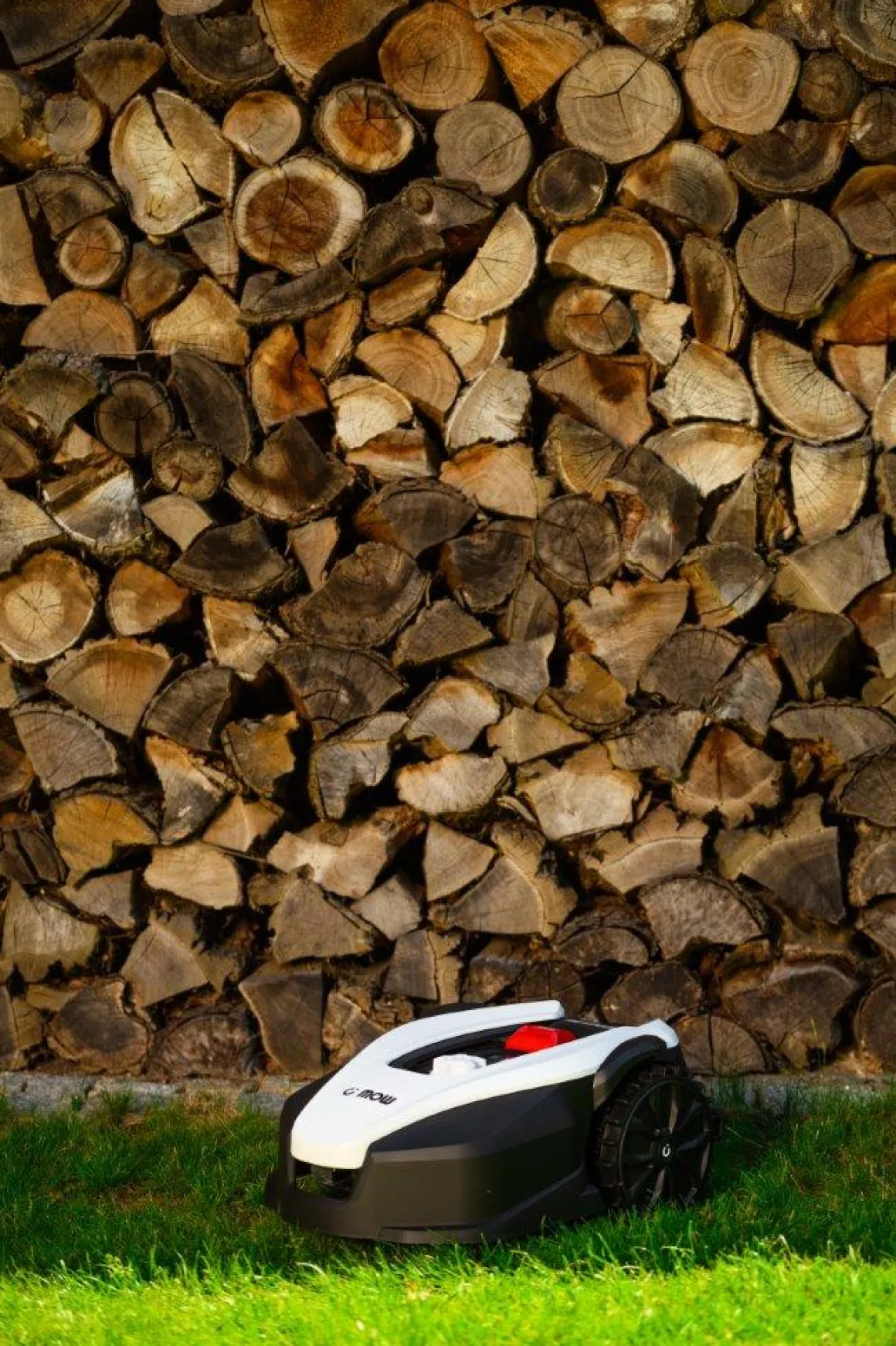 CEDRUS M6+ ROBOT KOSZĄCY KOSIARKA AUTOMATYCZNA DO TRAWY C-MOW 600m2 - OFICJALNY DYSTRYBUTOR - AUTORYZOWANY DEALER CEDRUS