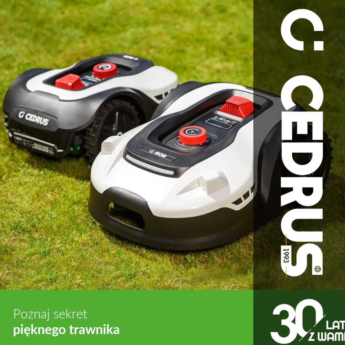 CEDRUS M6+ ROBOT KOSZĄCY KOSIARKA AUTOMATYCZNA DO TRAWY C-MOW 600m2 - OFICJALNY DYSTRYBUTOR - AUTORYZOWANY DEALER CEDRUS