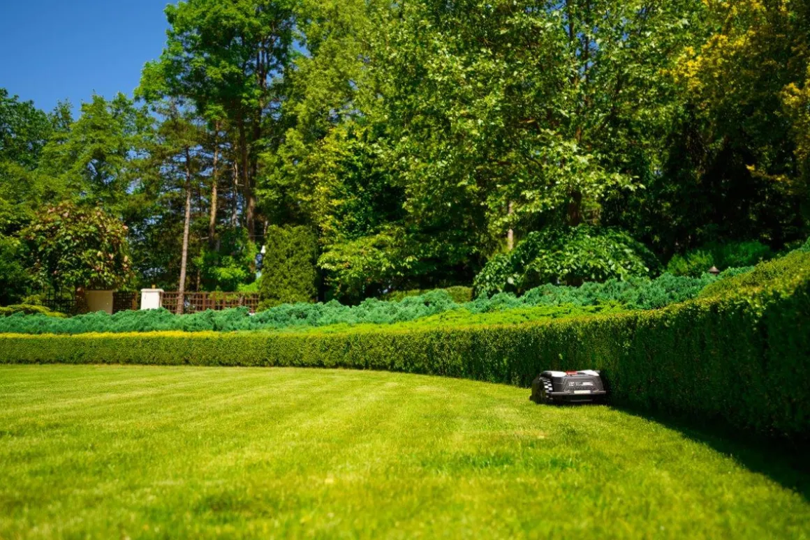 CEDRUS M6+ ROBOT KOSZĄCY KOSIARKA AUTOMATYCZNA DO TRAWY C-MOW 600m2 - OFICJALNY DYSTRYBUTOR - AUTORYZOWANY DEALER CEDRUS