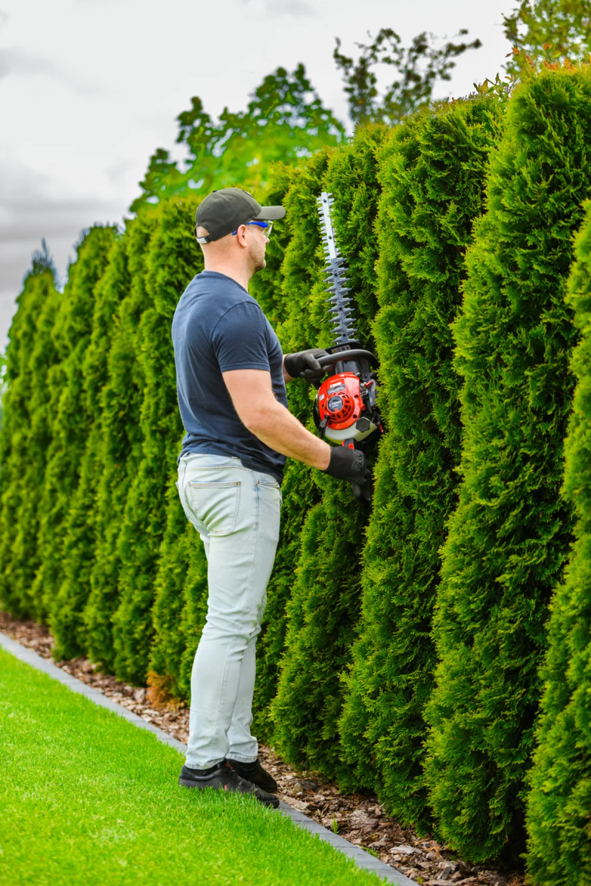 CEDRUS NZ02 SEKATOR NOŻYCE SPALINOWE DO ŻYWOPŁOTU KRZAKÓW KRZEWÓW SPALINOWE 61cm - EWIMAX - OFICJALNY DYSTRYBUTOR - AUTORYZOWANY DEALER CEDRUS