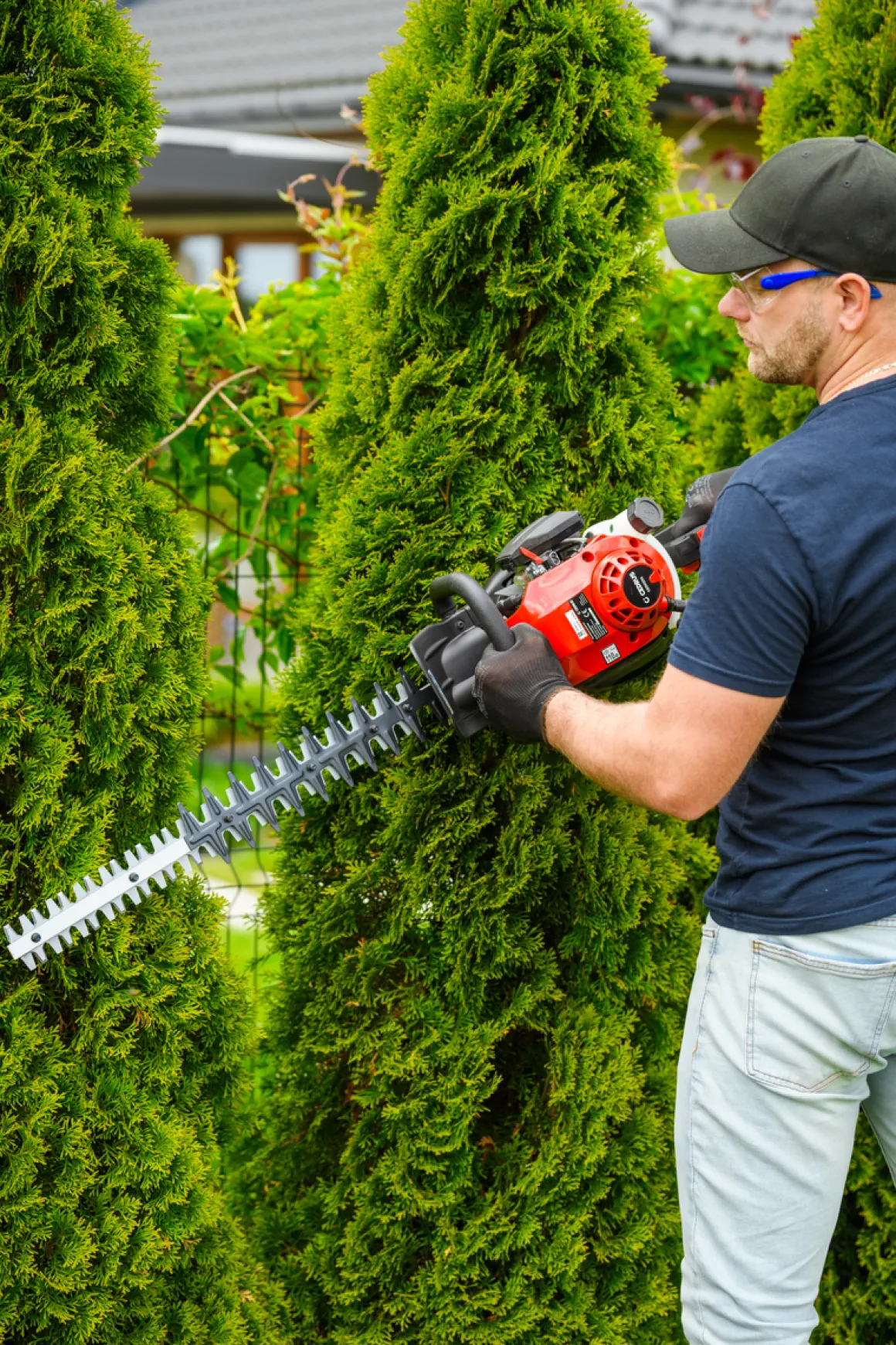 CEDRUS NZ02 SEKATOR NOŻYCE SPALINOWE DO ŻYWOPŁOTU KRZAKÓW KRZEWÓW SPALINOWE 61cm - EWIMAX - OFICJALNY DYSTRYBUTOR - AUTORYZOWANY DEALER CEDRUS