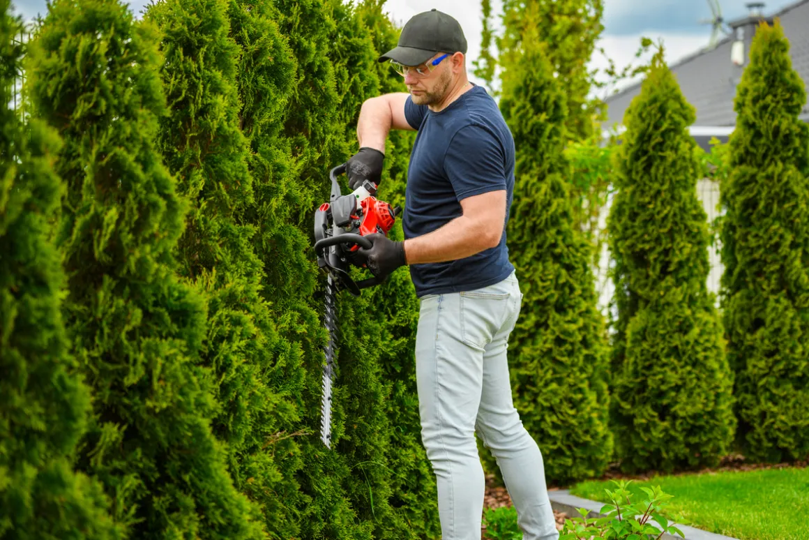 CEDRUS NZ02 SEKATOR NOŻYCE SPALINOWE DO ŻYWOPŁOTU KRZAKÓW KRZEWÓW SPALINOWE 61cm - EWIMAX - OFICJALNY DYSTRYBUTOR - AUTORYZOWANY DEALER CEDRUS