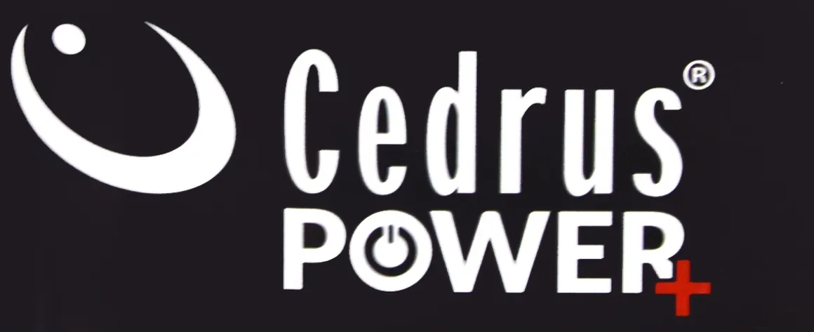 CEDRUS PC160Li SZCZOTKA ODCHWASZCZARKA DO SZCZELIN FUG SPOIN OCZYSZCZARKA DO KOSTKI BRUKOWEJ CHWASTÓW MCHU AKUMULATOROWA 2w1 POWER+ 20V - OFICJALNY DYSTRYBUTOR - AUTORYZOWANY DEALER CEDRUS