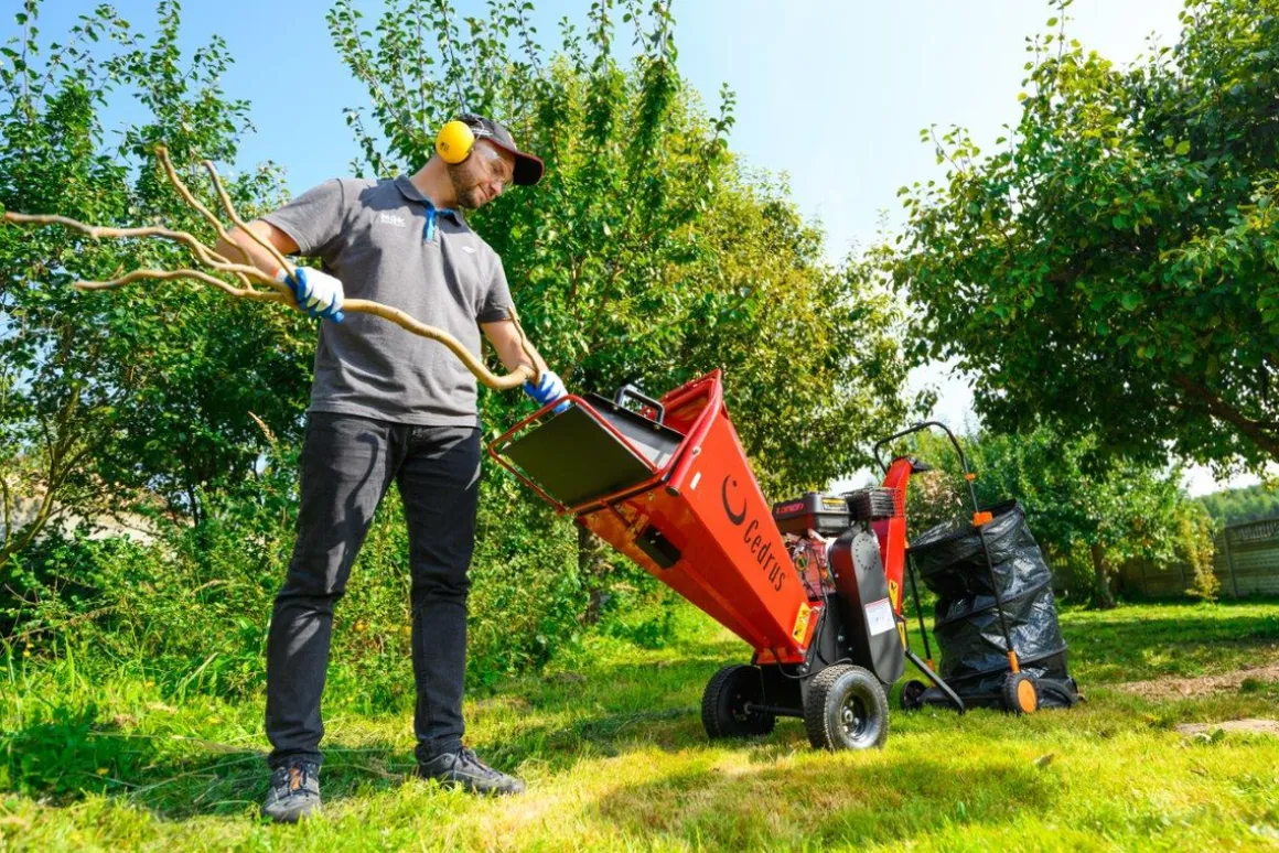 Cedrus RB02 rozdrabniacz spalinowy rębak do gałęzi 10 cm Loncin 6,5 KM