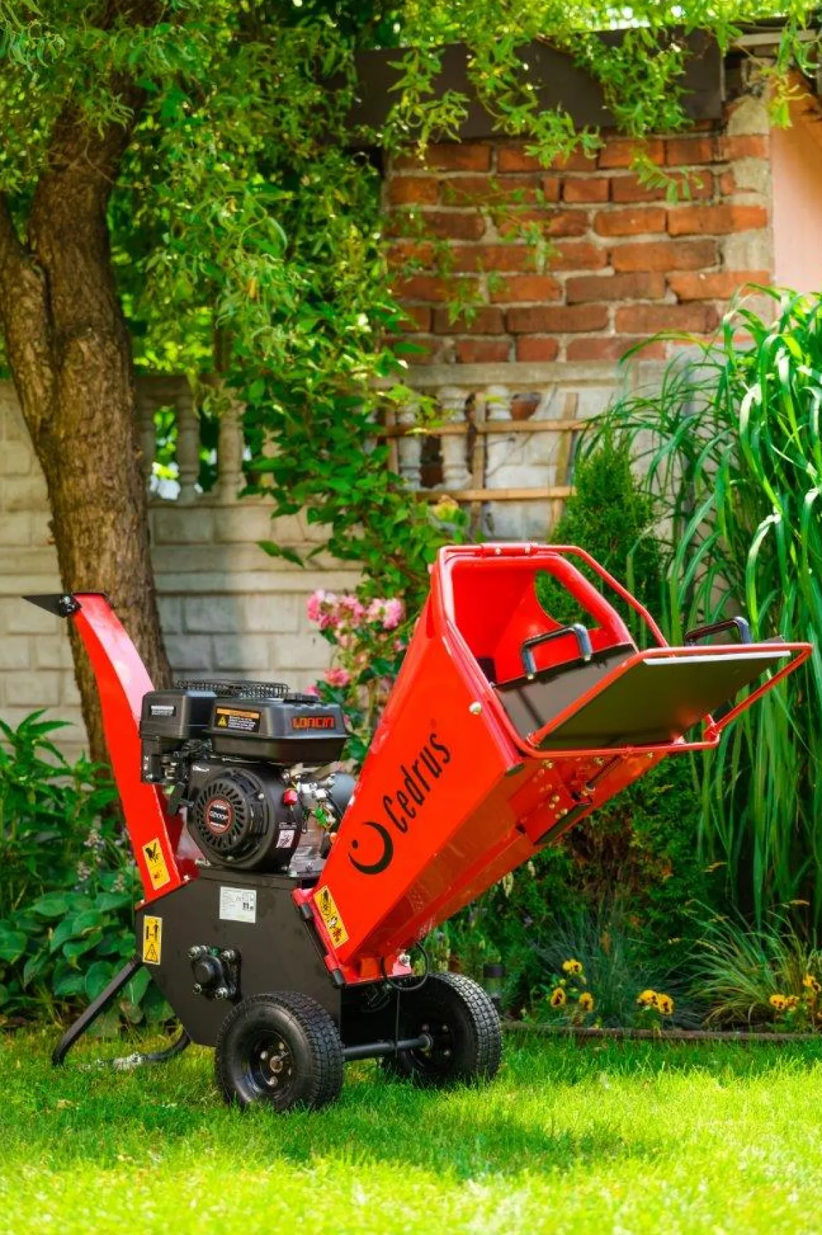 Cedrus RB02 rozdrabniacz spalinowy rębak do gałęzi 10 cm Loncin 6,5 KM