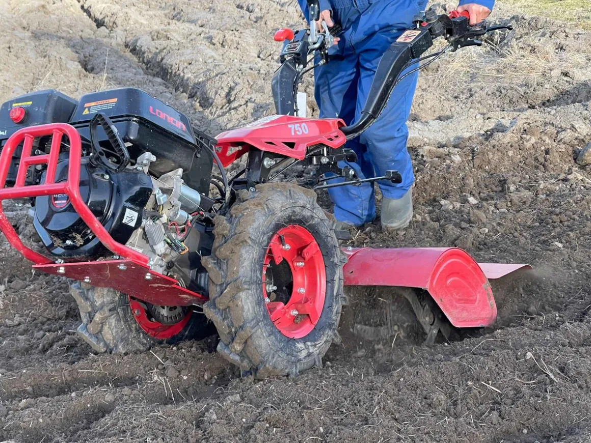 CEDRUS TJ02 TRAKTOREK TRAKTOR JEDNOOSIOWY MIKROCIĄGNIK GLEBOGRYZARKA DZIK WOM JANSEN AGRO GRILLO MURATORI - EWIMAX - OFICJALNY DYSTRYBUTOR - AUTORYZOWANY DEALER CEDRUS