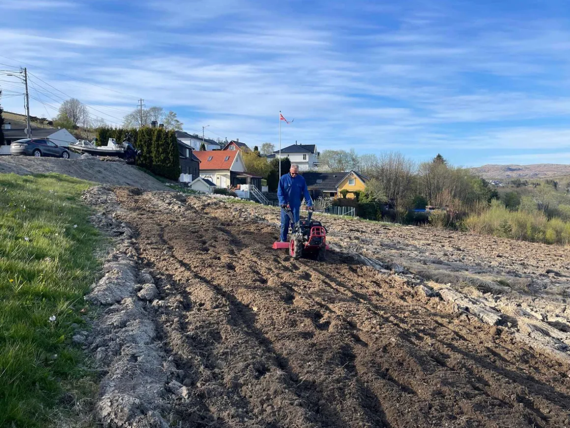 CEDRUS TJ02 TRAKTOREK TRAKTOR JEDNOOSIOWY MIKROCIĄGNIK GLEBOGRYZARKA DZIK WOM JANSEN AGRO GRILLO MURATORI - EWIMAX - OFICJALNY DYSTRYBUTOR - AUTORYZOWANY DEALER CEDRUS