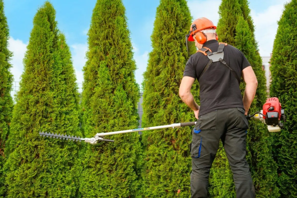 CEDRUS UW552 / UW520 KOSA SPALINOWA DO TRAWY PIŁA ŁAŃCUCHOWA SEKATOR URZĄDZENIE WIELOFUNKCYJNE PODKASZARKA WYKASZARKA 1.8 KM