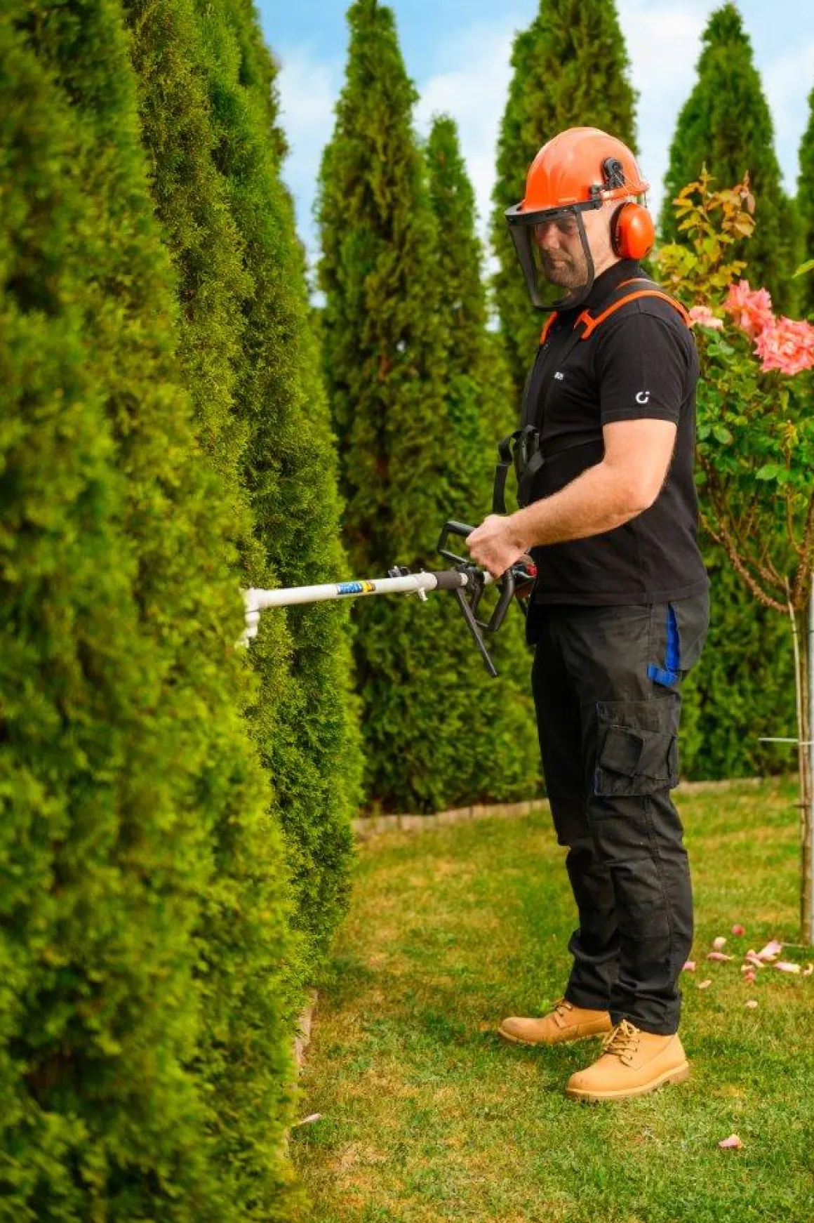CEDRUS UW552 / UW520 KOSA SPALINOWA DO TRAWY PIŁA ŁAŃCUCHOWA SEKATOR URZĄDZENIE WIELOFUNKCYJNE PODKASZARKA WYKASZARKA 1.8 KM